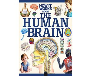 How It Works The Human Brain 1st Edition