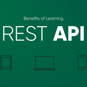 Course - Learn API, REST, JSON, XML and WEB Basics